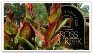 Cross Creek Condos for sale