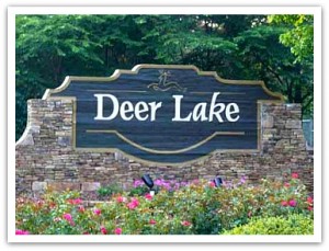 Deerlake home sales in Alpharetta GA